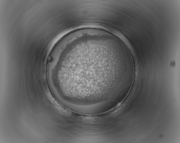 X0000113231004200909241518