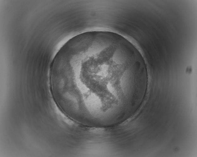 X0000113231006200909241518