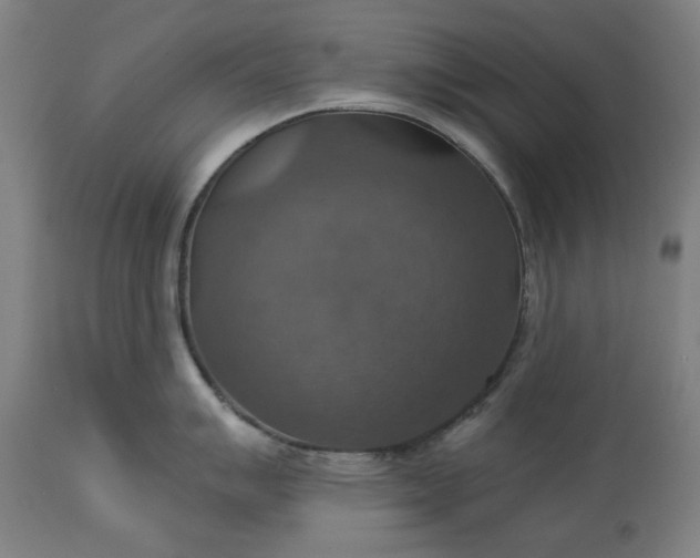 X0000113231007200909241518