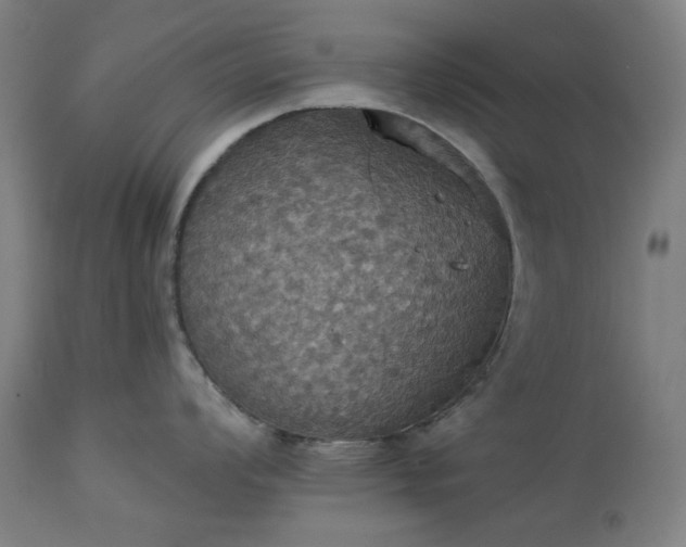 X0000113231008200909241518