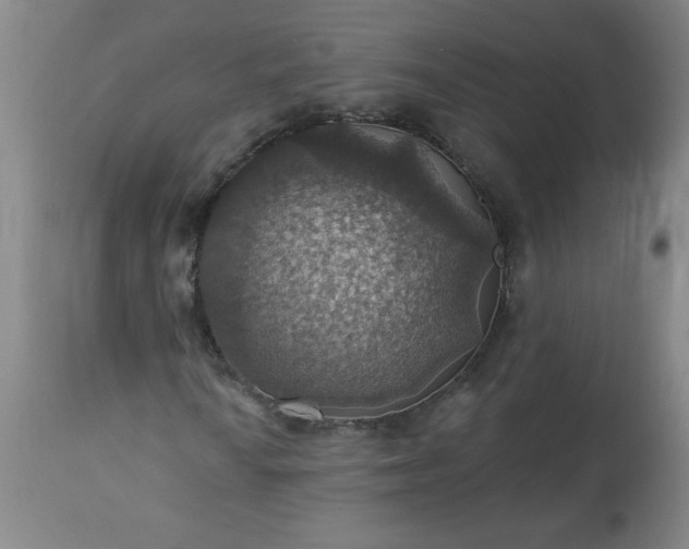 X0000113231010200909241517