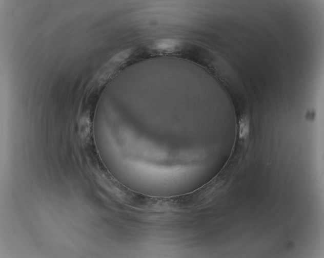 X0000113231011200909241517