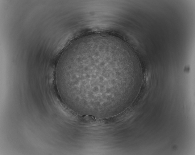 X0000113231012200909241517