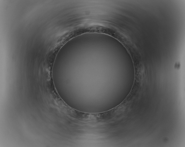 X0000113231013200909241517