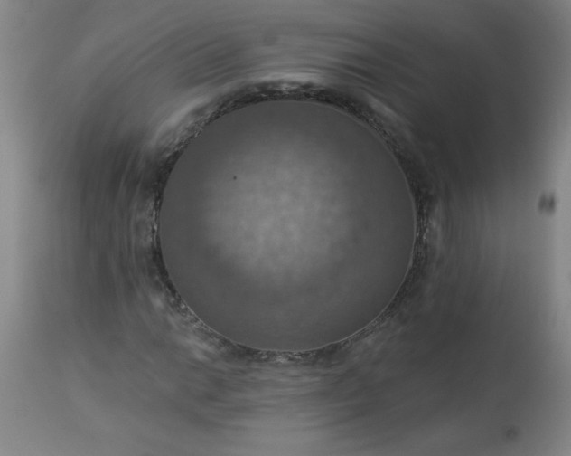 X0000113231014200909241517