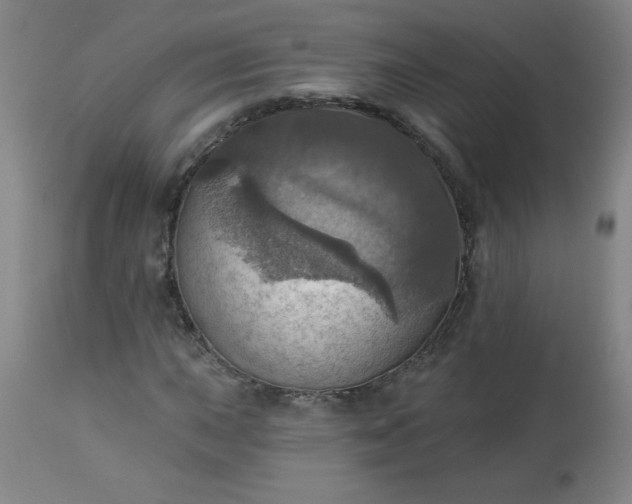 X0000113231015200909241517