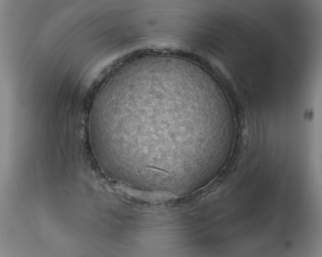 X0000113231016200909241517