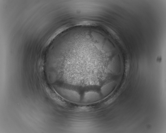 X0000113231017200909241517