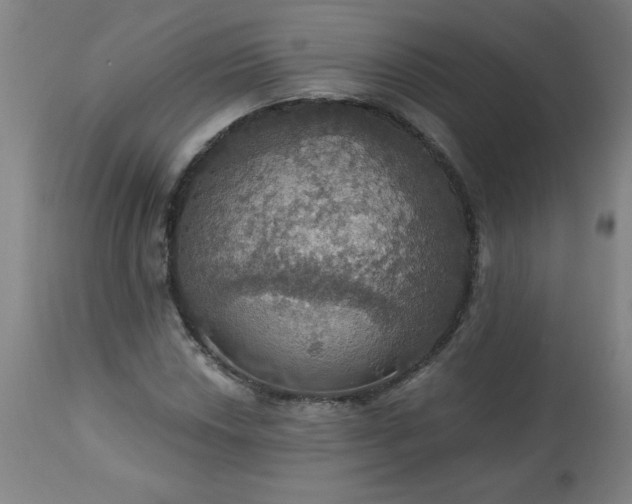 X0000113231018200909241517