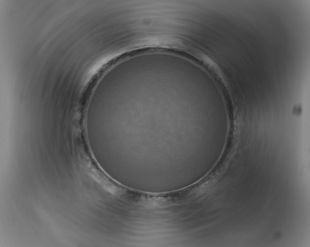 X0000113231019200909241517