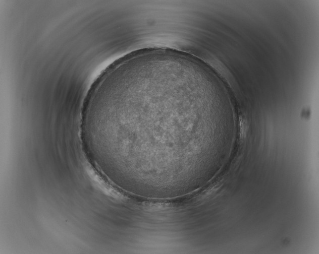 X0000113231020200909241517