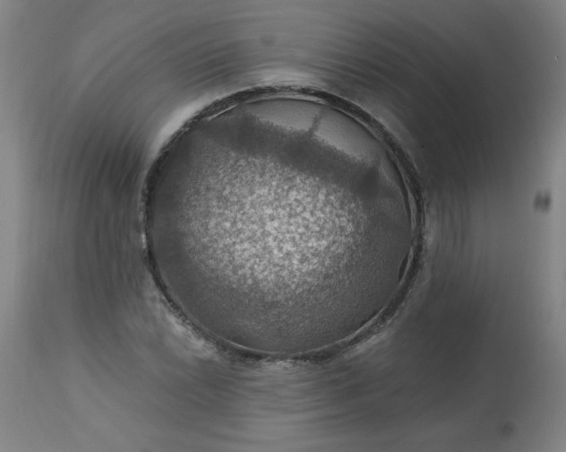 X0000113231022200909241517