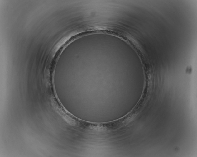 X0000113231023200909241517