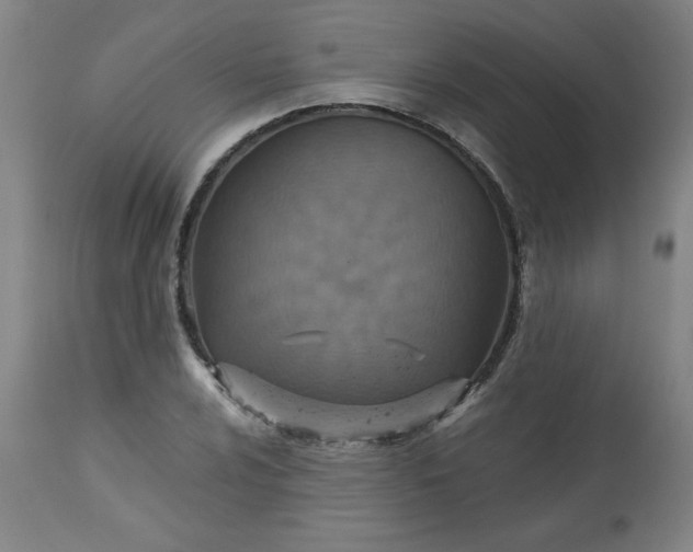 X0000113231024200909241517