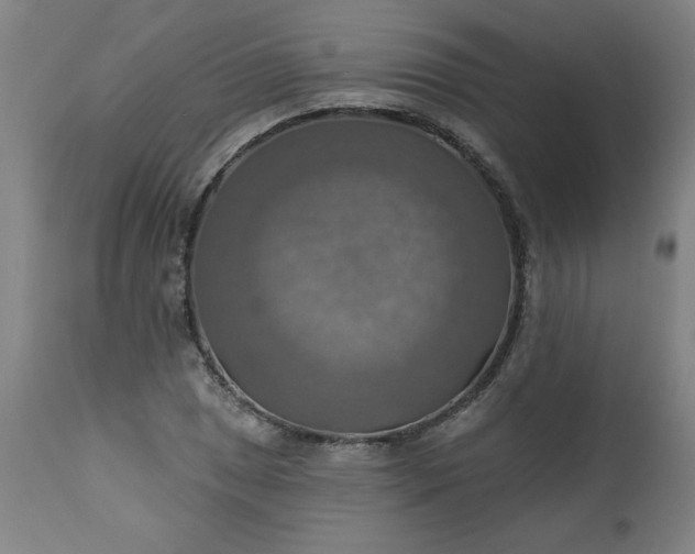 X0000113231025200909241517