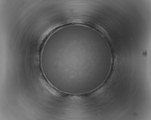 X0000113231027200909241517