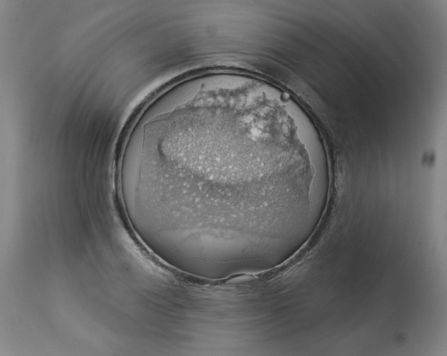 X0000113231028200909241517