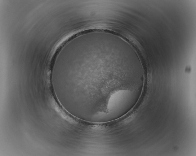 X0000113231029200909241517