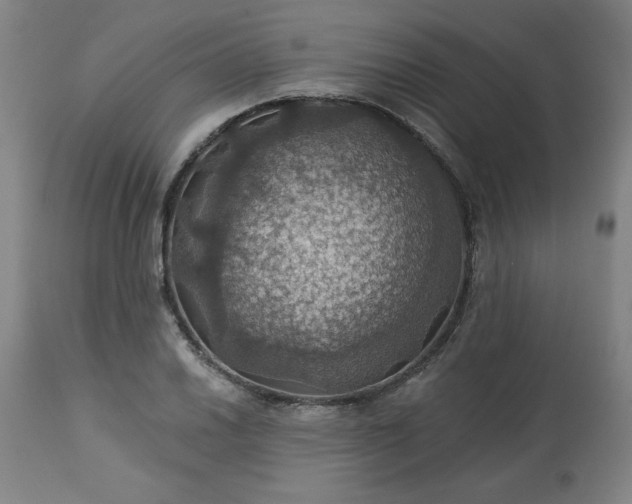 X0000113231030200909241517