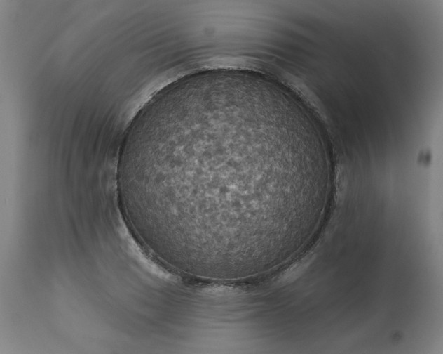 X0000113231033200909241517