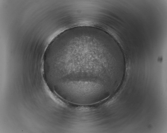 X0000113231034200909241517