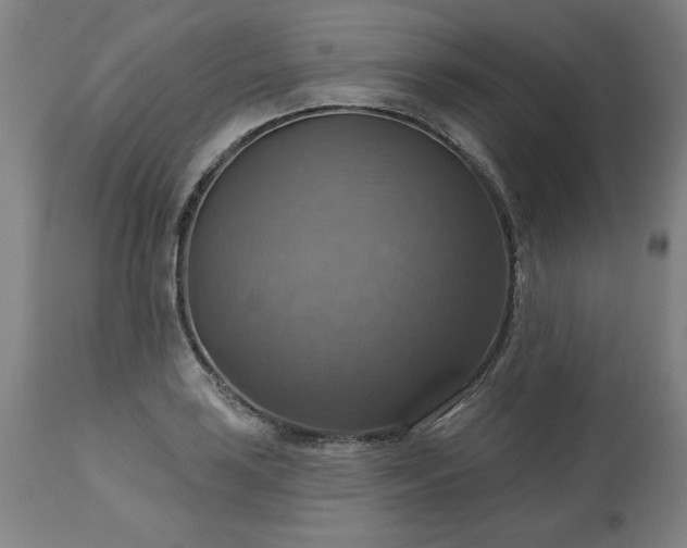 X0000113231035200909241517