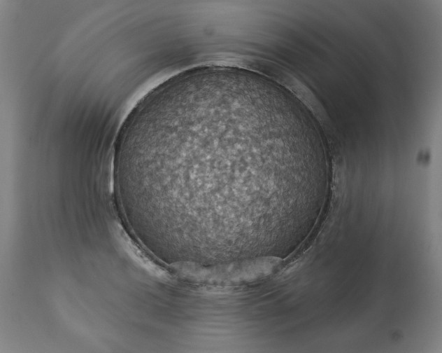 X0000113231036200909241517