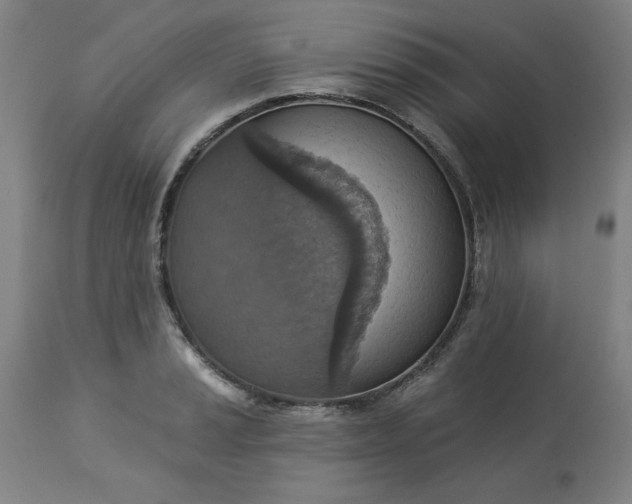 X0000113231037200909241517