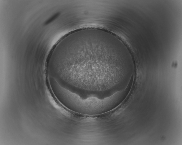 X0000113231038200909241517