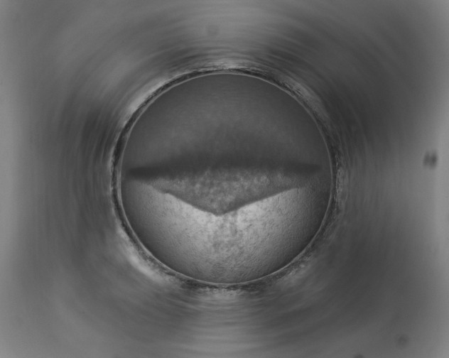 X0000113231039200909241517