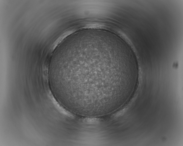 X0000113231041200909241518