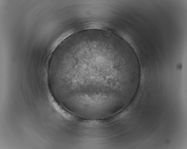 X0000113231042200909241518