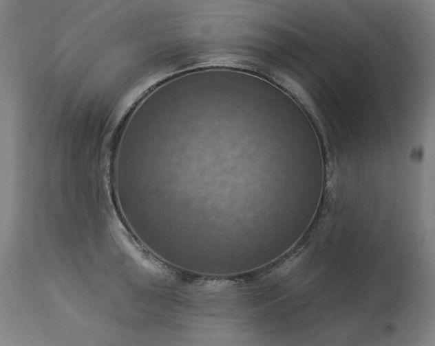 X0000113231043200909241518