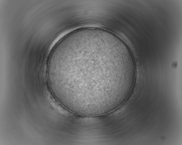 X0000113231044200909241518