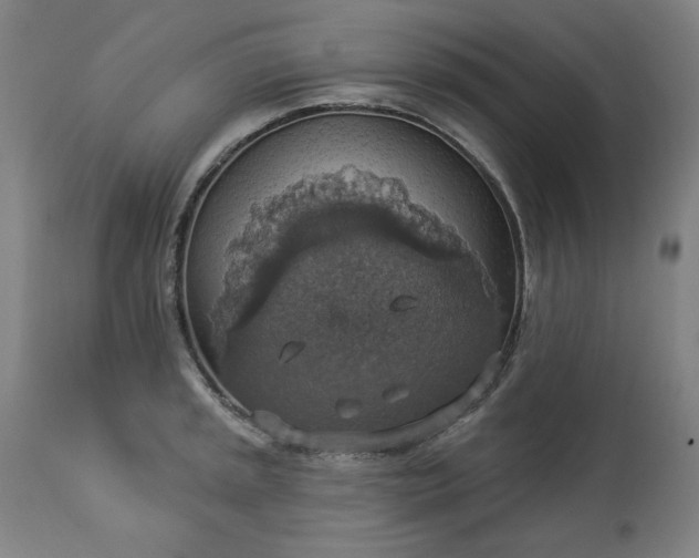 X0000113231045200909241518