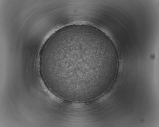 X0000113231046200909241518