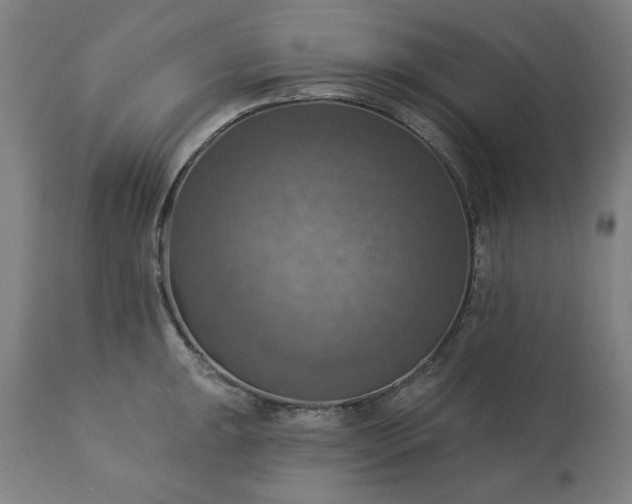 X0000113231047200909241518