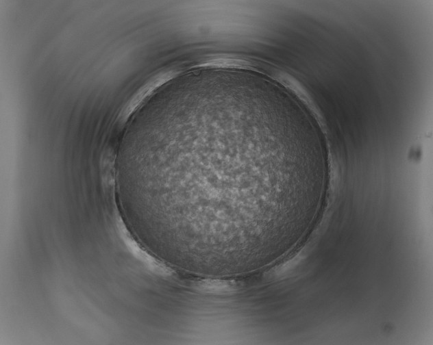 X0000113231049200909241518