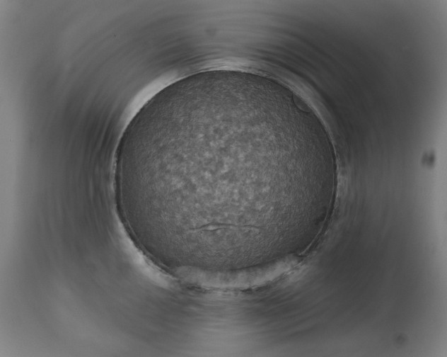 X0000113231050200909241518