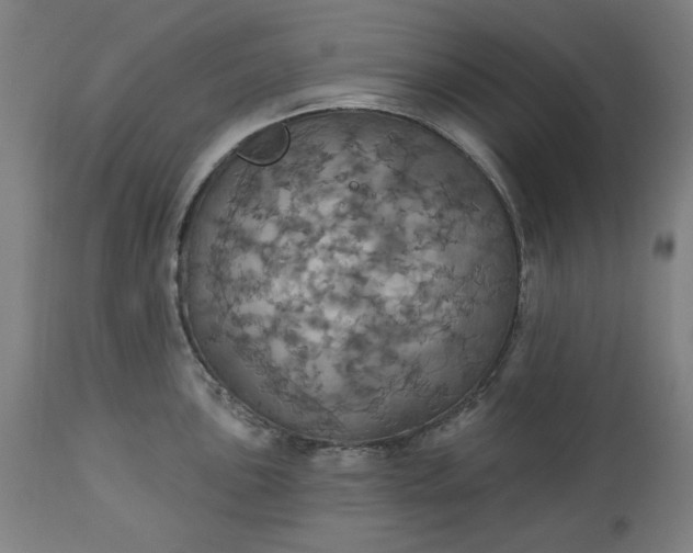 X0000113231051200909241518