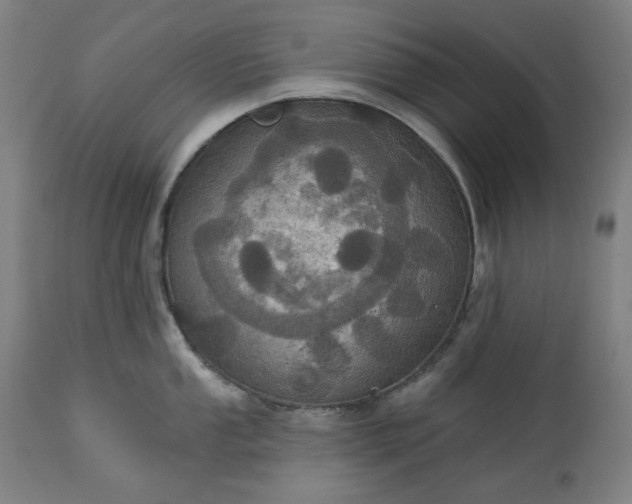 X0000113231053200909241518