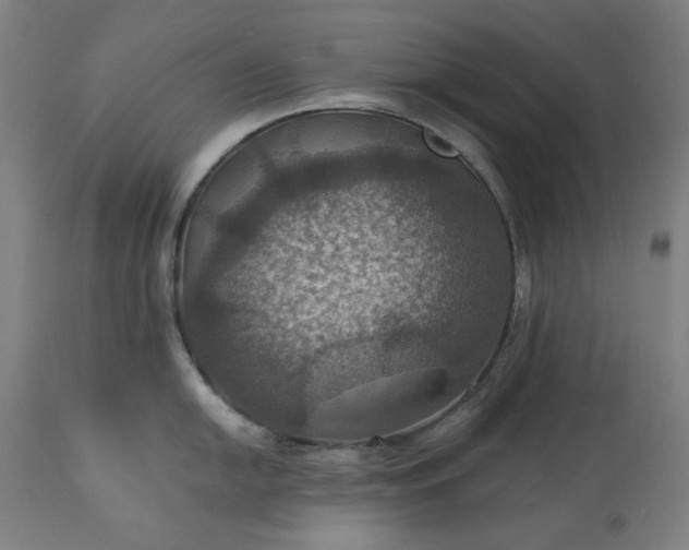 X0000113231054200909241518