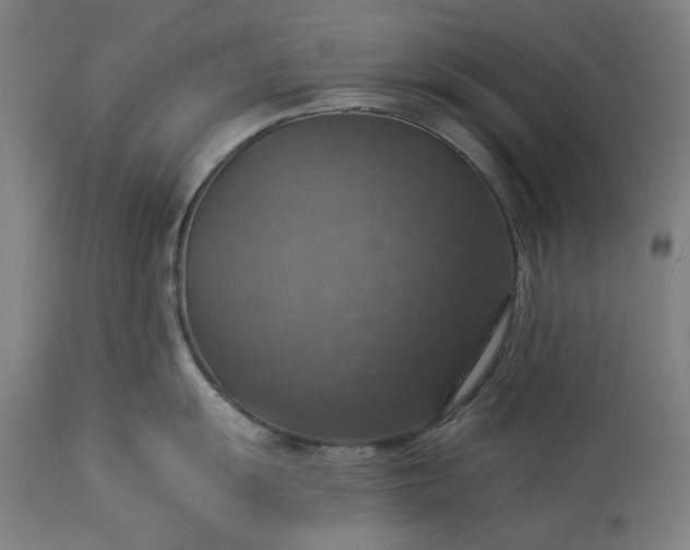 X0000113231055200909241518