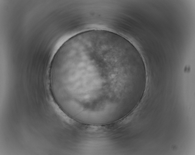 X0000113231056200909241518