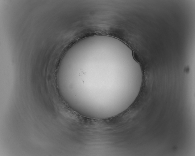 X0000113231057200909241517