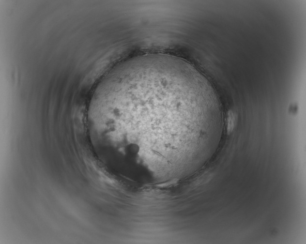 X0000113231059200909241517