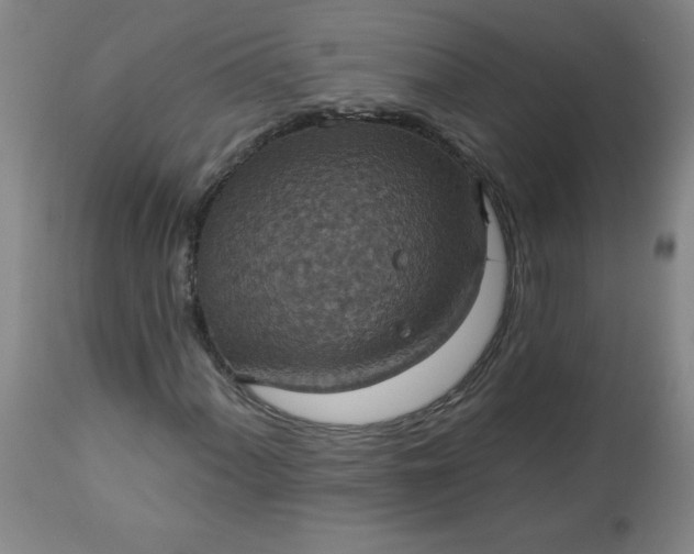 X0000113231060200909241517