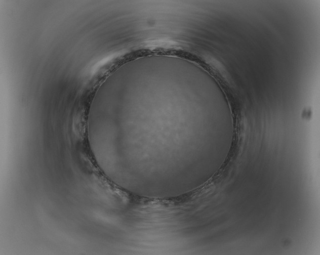 X0000113231063200909241517