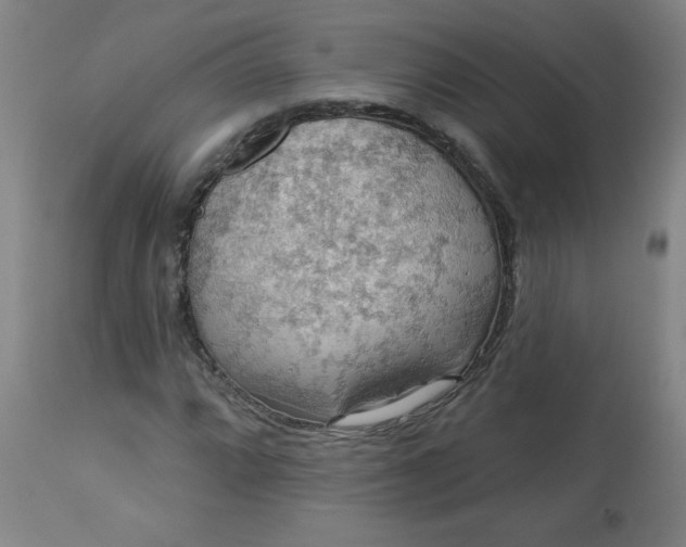 X0000113231064200909241517