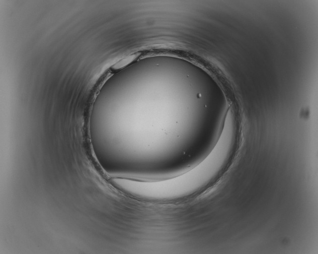 X0000113231065200909241517